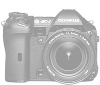 OLYMPUS E-1